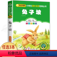 兔子坡 [正版]老师小马过河注音版故事书绘本一年级二年级三年级必读小学生书籍老师书目