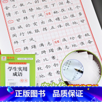 [正版]庞中华学生实用成语楷书 庞中华楷书字帖实用成语书写技法钢笔字帖学生成人硬笔临摹练字帖 接字成语·分类成语·书写