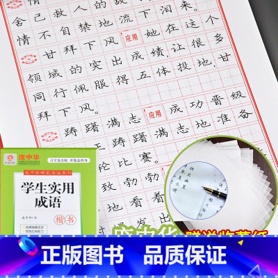 [正版]庞中华学生实用成语楷书 庞中华楷书字帖实用成语书写技法钢笔字帖学生成人硬笔临摹练字帖 接字成语·分类成语·书写