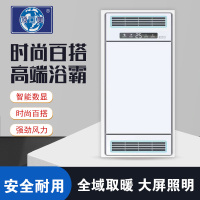 顶回美 智能电器 浴霸(双取暖纯平-06)安全速热 强劲双核取暖浴霸卫生间多功能浴室暖风机