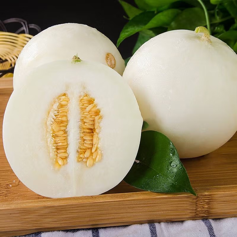 [西沛生鲜]新鲜陕西甜瓜 净重2.5斤