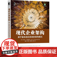 机工 现代企业架构:基于复杂适应系统的架构模式 约翰·D.麦克道尔(John D. McDowall)