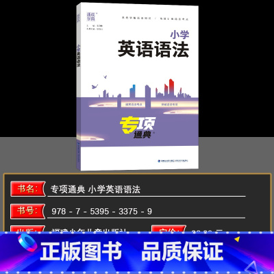 英语语法 小学通用 [正版]2025新版专项通典 小学英语语法三四五六年级上下册通用版通成学典小学3456年级语法句型专