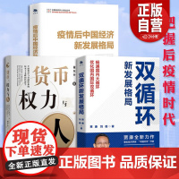 翟东升作品3册货币权力与人 疫情后中国经济新发展格局中国经济书籍全球货币与金融体系的民本主义政治经济学 正版书籍