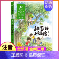 四季童话:夏天卷 [正版]全套4册注音版金波著四季童话集一年级二年级下册阅读花瓣儿鱼神奇的小银蛇春夏秋冬美文作品诗选散文