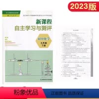 化学 九年级下 [正版]2023春新课程自主学习与测评初中化学九年级下册人教版含单元测评与参考答案学校辅导书南京师范大学