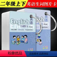 英语 [正版]全套2册英语生词图片卡二年级第一二学期上下册 英语单词卡片 上海教育出版社 学生用2A2B牛津上海版英语生