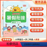 【人教版】一年级语文 【正版】2023阳光同学暑假衔接作业一年级下册二年级升三年级语文数学英语人教版小学一升二升三级学文