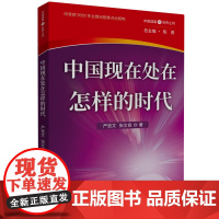 中国现在处在怎样的时代 中国道路与世界之问丛书 严哲文,张文良 五洲传播出版社 党建读物党政图书籍