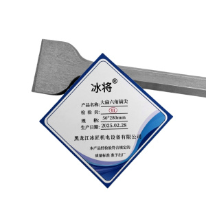 冰将 电锤尖扁凿子大扁六角镐尖工具 个
