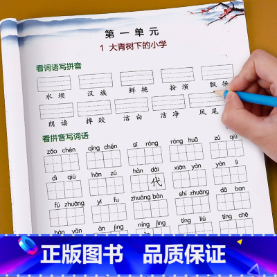 语文 [正版]三年级上册语文看拼音写词语生字组词专项训练全套同步练习册小学词语手册人教版上练习与测试