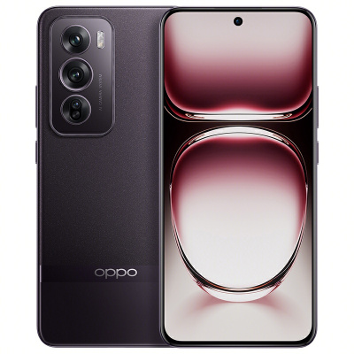 OPPO Reno12 Pro 乌木黑 16GB+512GB 超美小直屏 天玑9200+旗舰芯 智能拍照AI影像5G手机