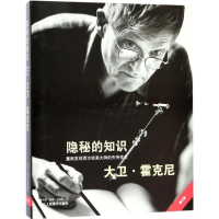 音像隐秘的知识:重新发现西方绘画大师的失传技艺