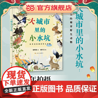 正版童书 大城市里的小水坑 历时一年拍摄 感动万千网友 王放、虫虫、彭懿 引导小朋友认识爱护城市里的动物环境