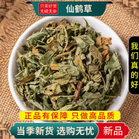 甄选仙鹤草100克煮水泡茶脱力草狼牙草无硫另售枸杞9260