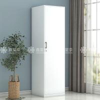 鑫星奈 XXN3110701 阳台柜单门衣柜钢制储物柜铁皮柜 白色单门衣柜500mm宽