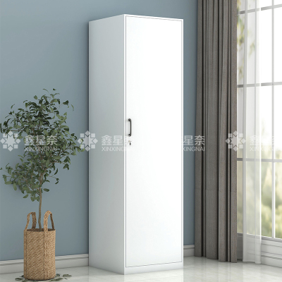 鑫星奈 XXN3110701 阳台柜单门衣柜钢制储物柜铁皮柜 白色单门衣柜500mm宽