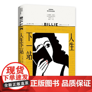 人生下一站(法国文坛传奇作家安娜·戈华达疗愈新作)