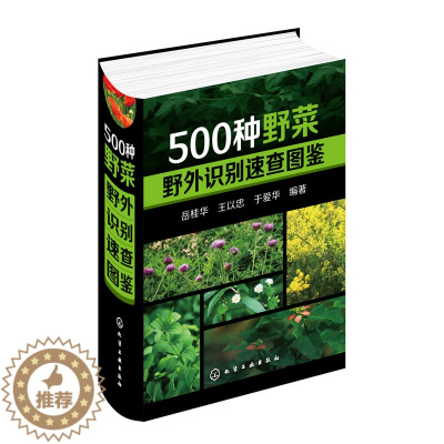 [醉染正版]500种野菜野外识别速查图鉴 岳桂华 生物科学 生活百科书籍 野生植物花草识别图解书籍 植物特性药学图鉴 中