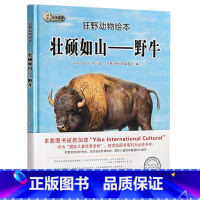 [正版]精装华语童趣狂野动物绘本野牛壮硕如山幼儿童读物睡前故事书绘本儿童3至6周岁宝宝绘本0至3岁幼儿启蒙认知大自然手绘