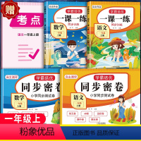 推荐[共4本]语文+数学试卷+同步训练 一年级下 [正版]2024新版一年级上册下册试卷测试卷全套人教版语文数学1年级上