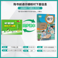 数学 六年级上 [正版]2024年秋 小学数学实验班提优大考卷六年级上册人教版 6年级上册RJ版单元基础巩固分层能力提优