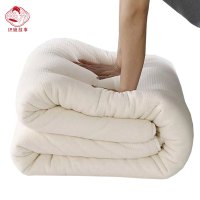 织娘故事 棉被 200*230cm8斤 张