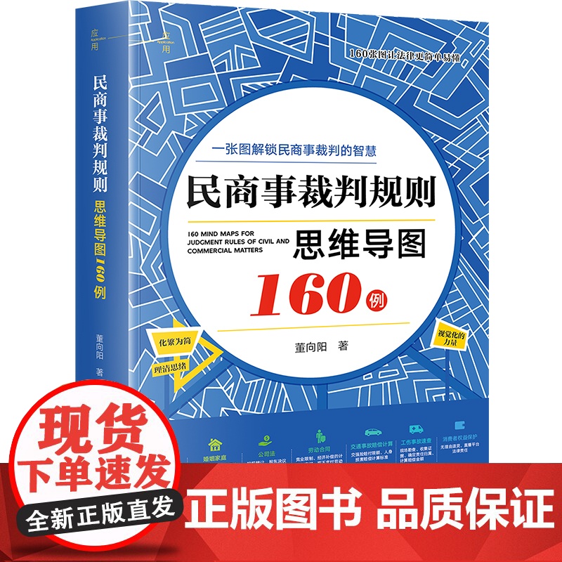 民商事裁判规则思维导图160例(全彩印刷、诉讼可视化) 董向阳著 法律出版社 正版图书