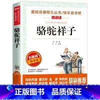 骆驼祥子 [正版]七年级下册阅读课外书籍 海底两万里 骆驼祥子初中读物老舍原著同步人教版7年级语文上册西游记朝花夕拾非老