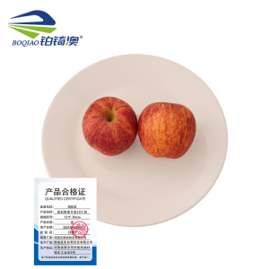 铂锜澳 圆形陶瓷平盘10个装/件
