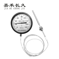 嘉禾长久 压力式温度计 WTQ280 160度 10M线长 个