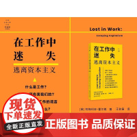 在工作中迷失 逃离资本主义 上海文艺出版社