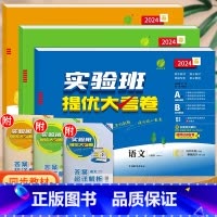 语文+数学(人教版)+英语(人教pep版)。 四年级下 [正版]实验班提优大考卷一年级二年级三四五六年级上册语文数学英语