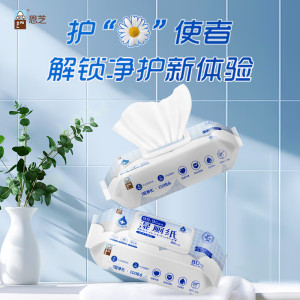 恩芝湿厕纸 150mm×200mm,80片*6包