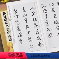 [正版]孙过庭草书集字古诗集字系列简体旁注郑晓华草书毛笔字帖书法成人学生临摹古帖登鹳雀楼寻隐者不遇书籍上海辞书出版社