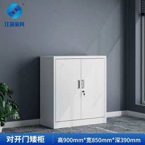 江莱对开门两门矮柜850*390*900mm/JL-W12/台