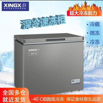 星星(XINGX)BD/BC-240SD家用商用冰柜冷柜深冷速冻冰柜超低温-40℃冷柜单温全冷冻小型大容量冰箱速冻柜铜管