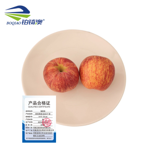 铂锜澳 圆形陶瓷浅盘5个装/件