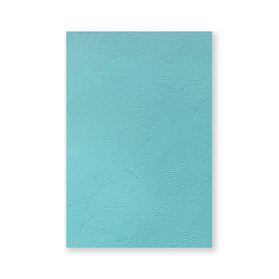 优彩嘉 彩色皮纹纸 A4 230g 浅蓝色 1505 包
