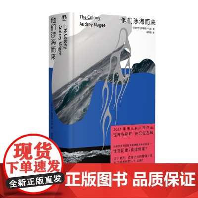 他们涉海而来 北贝 野望(爱尔兰)奥德丽·马吉/著 爱尔兰 夏天 海 岛 布克奖 思念 家乡 少年 广西师范大学出版社