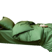 千丰QFTJ11 值班被芯+褥子+枕套三件套 (计价单位:套) 绿色