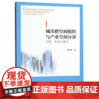 城市群空间组织与产业空间分异(过程机制与模式)