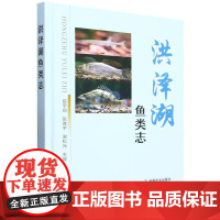 精装 洪泽湖鱼类志 陈宇顺 张胜宇 谢松光 编 洪泽湖鱼类渔业生态介绍 洪泽湖地理环境渔业发展 淮河流域鱼类形态特征生活