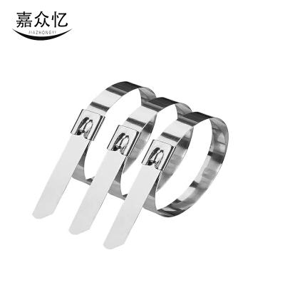 嘉众忆 不锈钢扎带(201) 4.6*800mm JZY-468 根