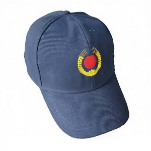 职业季工作帽 GW01 一顶 支持定制