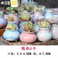 三维工匠麦饭石多肉花盆陶瓷手绘粗陶复古爆裂创意大老桩盆栽室内 白色刷釉小盆随机6个 中等花盆容器