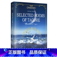 泰戈尔诗选(全英文版) [正版]全英文原版小说经典原着小王子/傲慢与偏见/了不起的盖茨比/老人与海/简爱/飘/呼啸山庄/