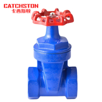 卡西斯顿 铸铁丝扣闸阀 DN65 个