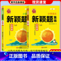 太阳版 语文 小学通用 [正版]2023新版 王朝霞新颖题集锦太阳月亮版知识大盘点语文数学四五六年级学习学霸阅读理解专项