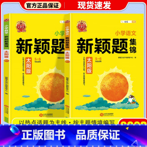 太阳版 语文 小学通用 [正版]2023新版 王朝霞新颖题集锦太阳月亮版知识大盘点语文数学四五六年级学习学霸阅读理解专项